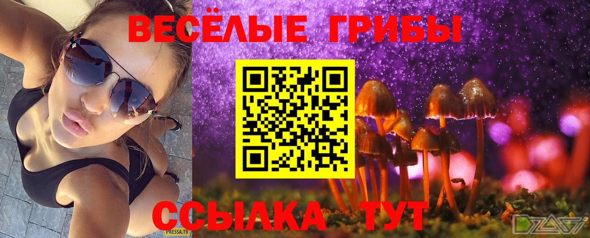 Губаха  Псилоцибиновые грибы мицелий  как найти закладки  Галлюциногенные грибы прущие грибы  Вход с VPN 